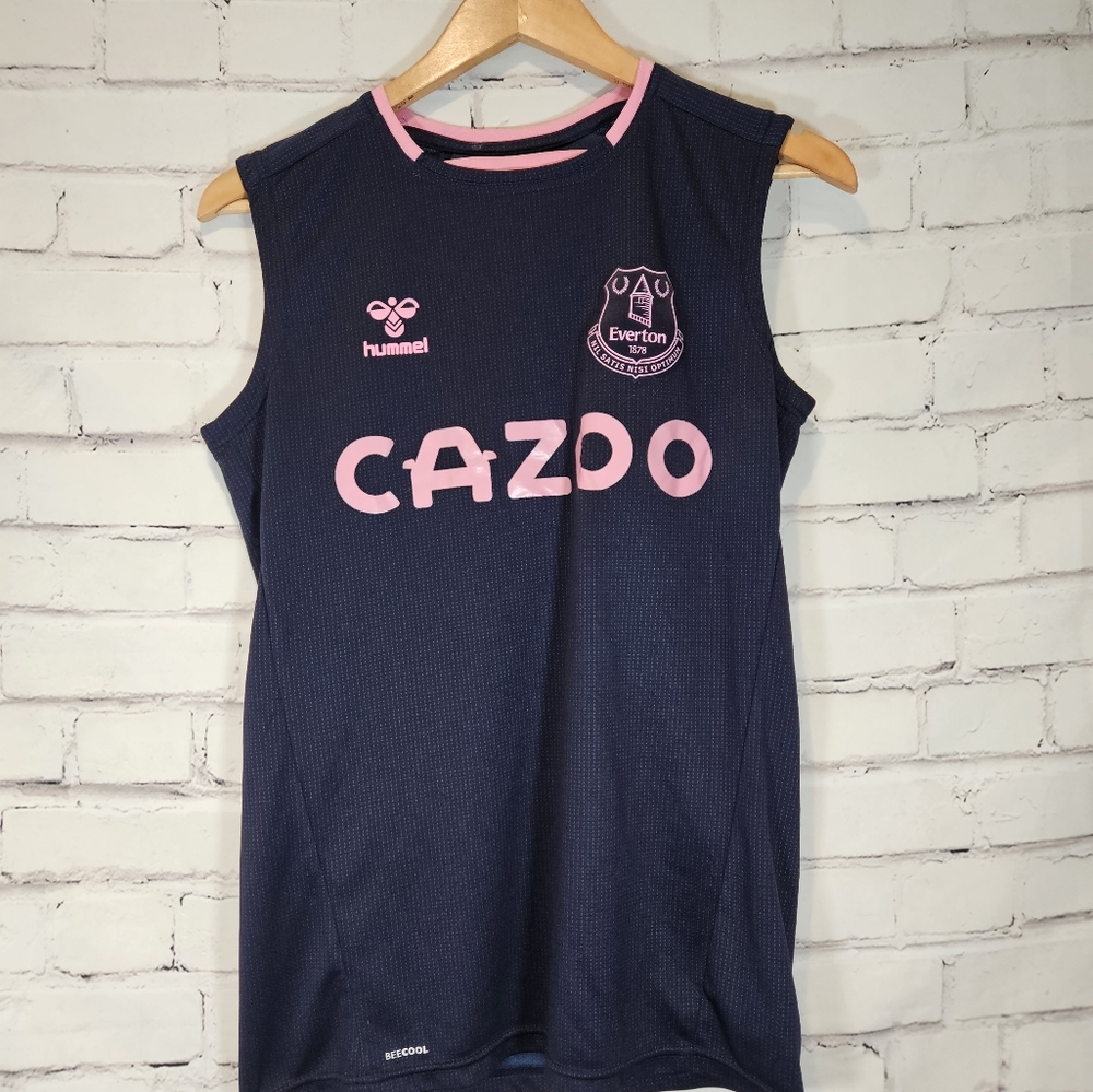 Everton Hummel Training Vest 2021